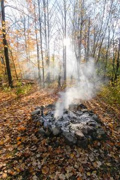 Smoke in th fall trees Fotos de archivo