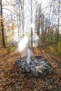 Smoke in th fall trees Fotos de archivo
