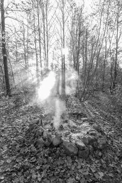 Smoke in th fall trees Stock Photos