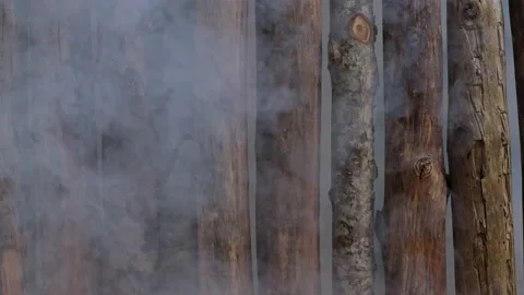 Smoke throu driftwood vertical Vídeos de archivo 186985357