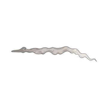 Smoke trail illustration Stock Illustration
