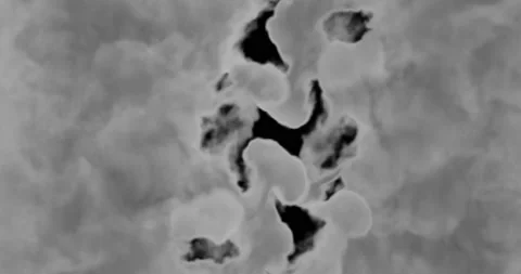 Smoke Transition Animation 4K Stock Footage 170564701