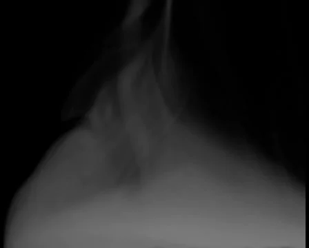 Smoke V12 - PAL Stock Footage 10767583