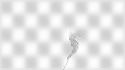 Smoke visual effect Stock Footage 248761588