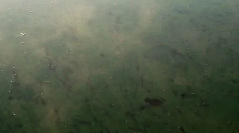 Smoke on the water Stock Footage 8767497