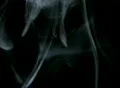 Smoke White 011 Loop Web Footage