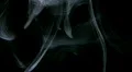 Smoke White 011 Loop HD Footage