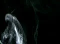 Smoke White 06 Loop Web Footage