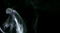 Smoke White 06 Loop HD Footage
