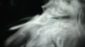 Smoke White LM14 Loop HD Footage