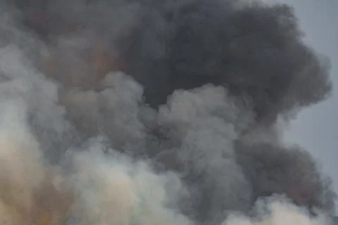 Smoke from wild fire background Foto stock