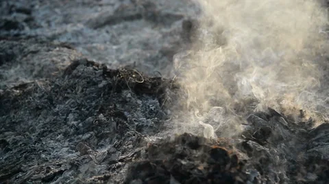 Smoke  from wild fire. Video stock 50362536