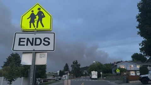 Smoke from a wildfire rise in sky Video stock 249274367