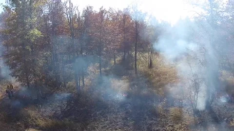 Smoke in the woods during a controlled fire Stock Footage 43738376