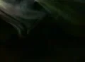 Smoke Yellow 01 Loop Web Footage