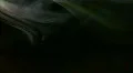 Smoke Yellow 01 Loop HD Footage