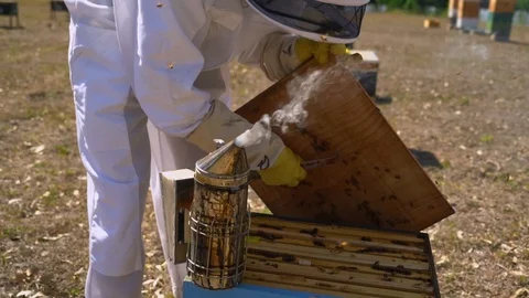 SmokeBees Stock Footage 129187103