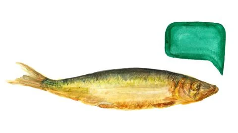 Smoked baltic herring Stock Illustration