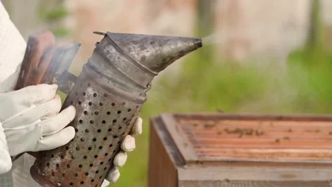 Smoked bee hive when handling bees, wax and honey 스톡 동영상 170058458