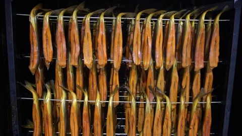 Smoked fish Stock Footage 148465495