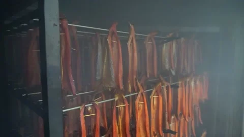 Smoked fish Stock Footage 148465519