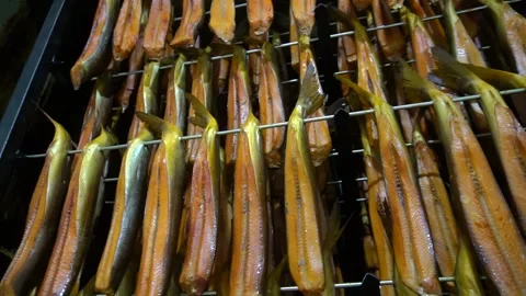Smoked fish Stock Footage 148465559