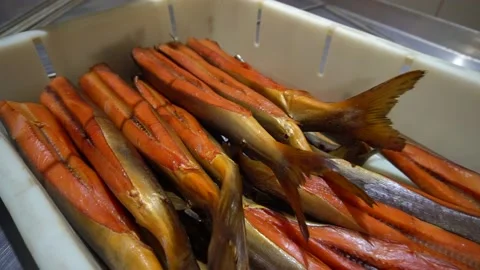 Smoked fish Stock Footage 148465834