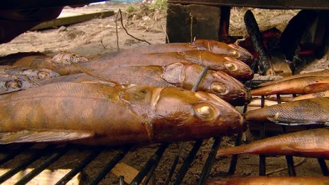 Smoked fish on the grill Stock Footage 81624927