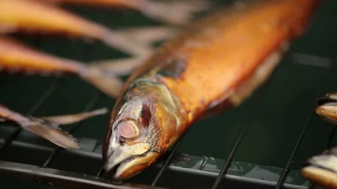 Smoked mackerel. The fish is on the grill Stock Footage 146647816