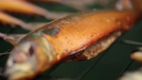 Smoked mackerel. The fish is on the grill Stock Footage 146647850