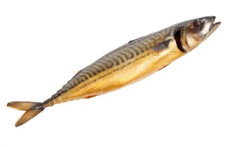 Smoked mackerel Stock Photos