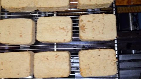 Smoked tofu blocks moving on a stainless steel wire mesh conveyor belt in a food Vídeo Stock 332875111
