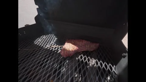 Smoked Tri-Tip Roast Stock Footage 311023886