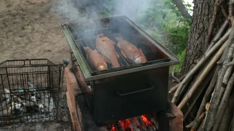 Smokehouse with fish Stock Footage 114569299