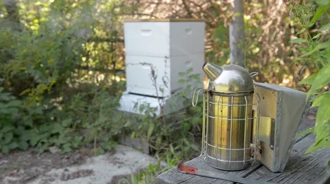 A smoker and beekeeping tools in front of an active beehive. Stock Footage 58882420