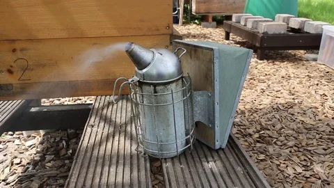 Smoker of a beekeeper Stock Footage 71192922
