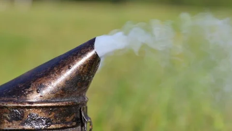 Smoker beekeepers tool Video stock 69861462