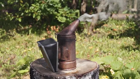 Smoker - one of the main instruments of the beekeeper. Its smoke pacify bees. Stock Footage 87249146