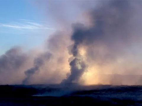 Smokers Stock Footage 490394