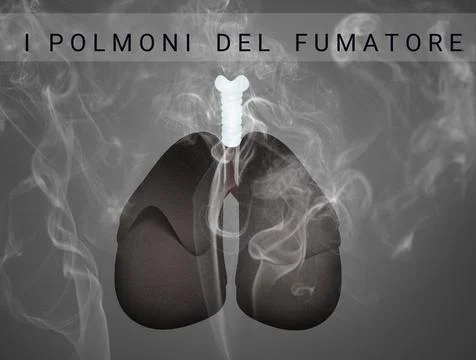 The smoker's lungs Stock Illustration