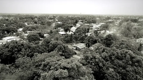 Smokes over forest, Djébalè island Stock Footage 80936596