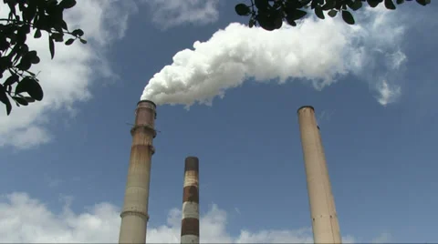 Smokestacks and leaves of tree Stock Footage 36567514