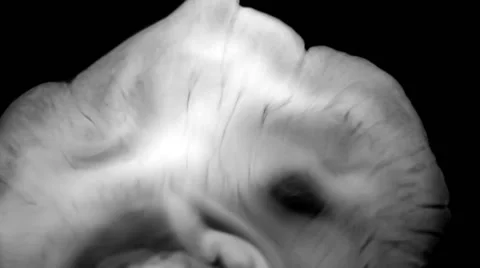 SmokeWipeLumaGolf Stock Footage 52247816