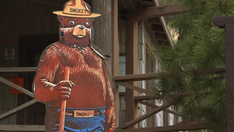 Smokey The Bear Sign Close Up with Trees Stock Footage 169955353