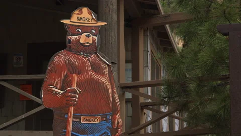 Smokey the Bear Sign Stock Footage 169955260