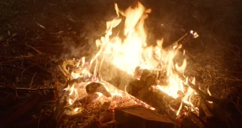 Smokey bonfire Stock Footage 247350131