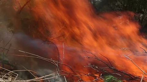 SMOKEY FIRE 스톡 동영상 273985853