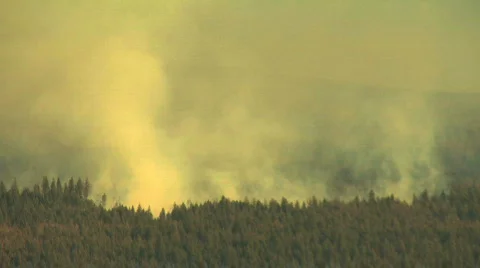 Smokey Forest Fire on Mountain Stock-Footage 711250