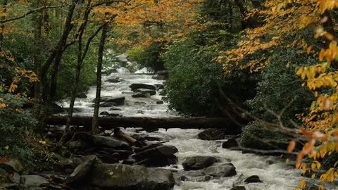Smokey Mountain Fall  Creek Stock Footage 106270359