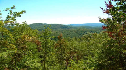 Smokey Mountains Trees 動画素材 31561463